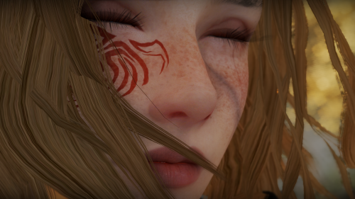 1vehmk.png