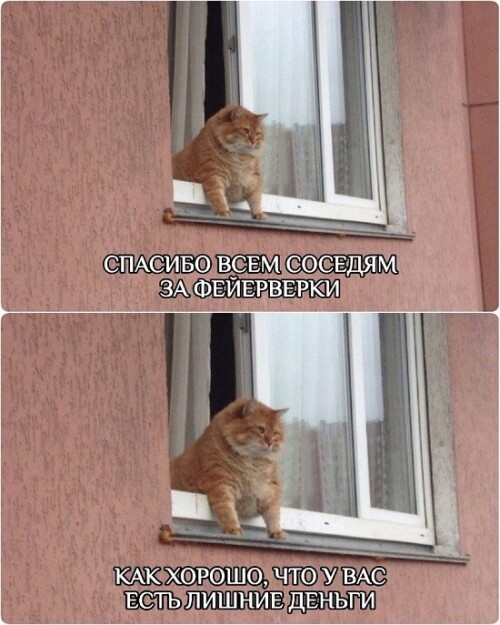 3zKQTQ.jpeg