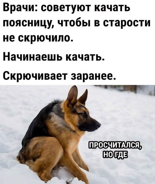 4RGtKZ.jpeg