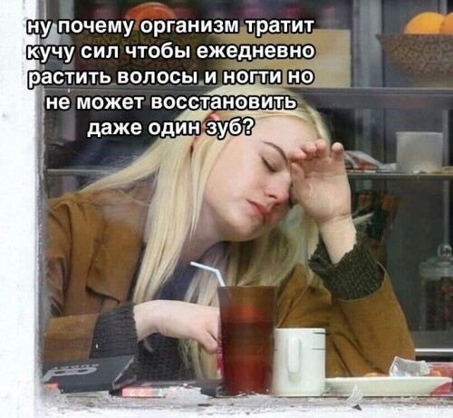 6TVBHx.jpeg