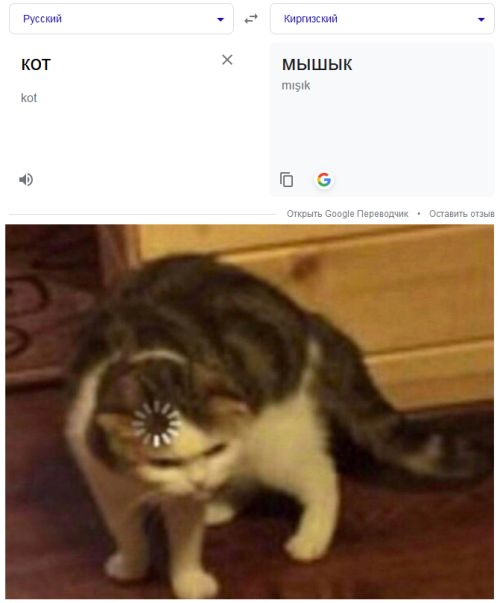 6TVKNK.png