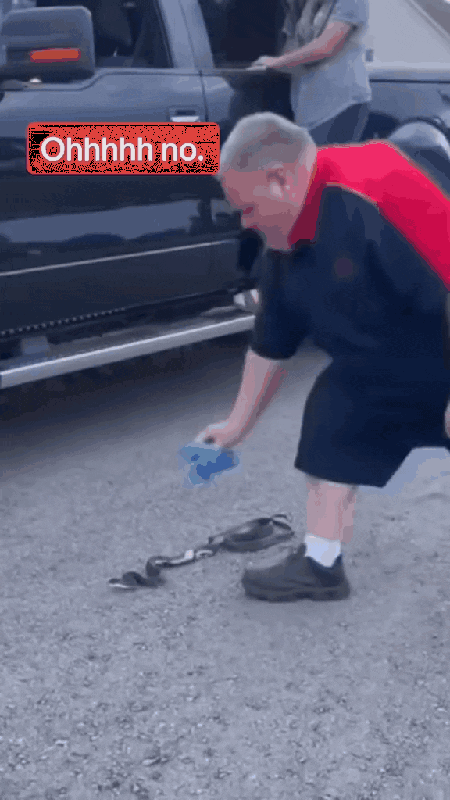 6c97Co.gif