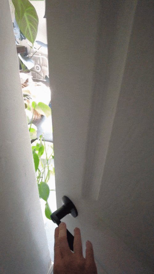 6fmSM7.gif