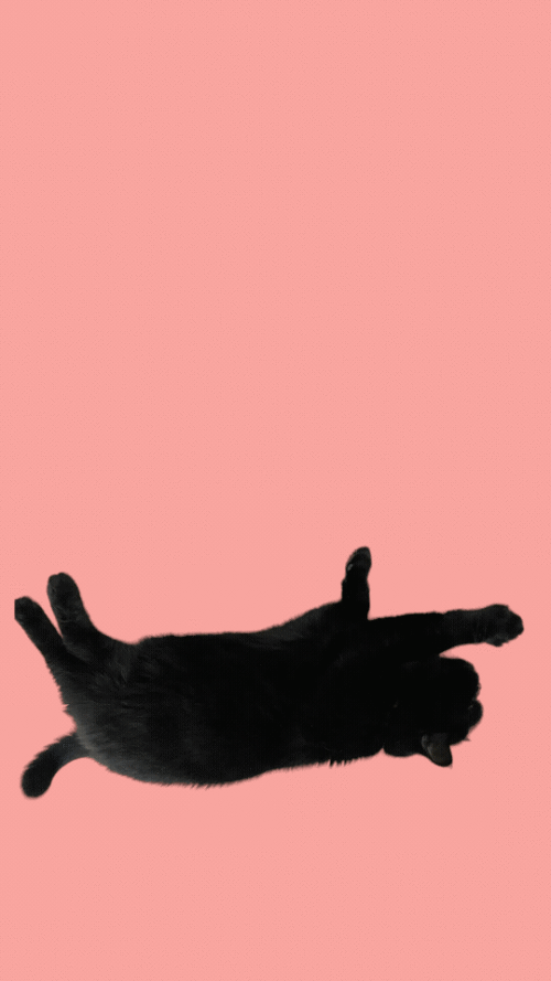774yk1.gif