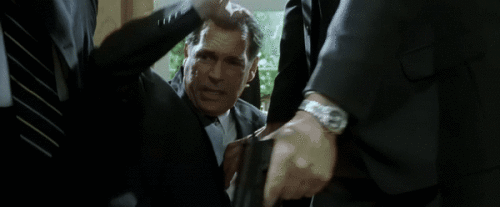 79pzw9.gif
