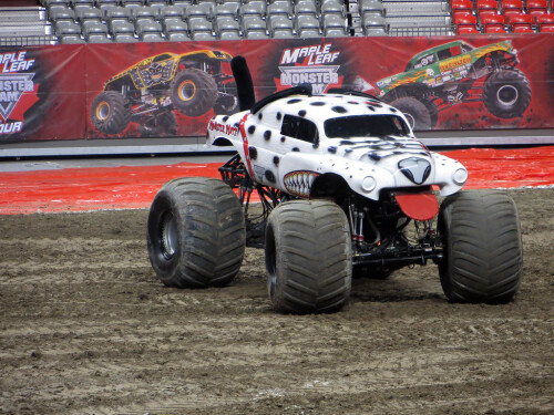 monster mutt 12271934203 l