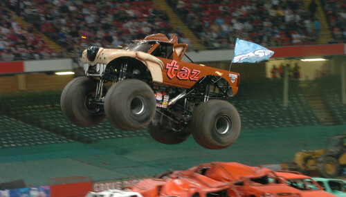 taz 2561962646 l