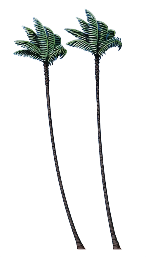 H0pWki.png