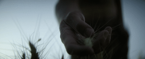 HR92F3.gif
