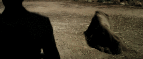 HRVCz7.gif