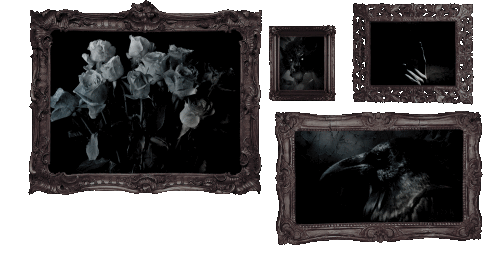 HcqL33.gif