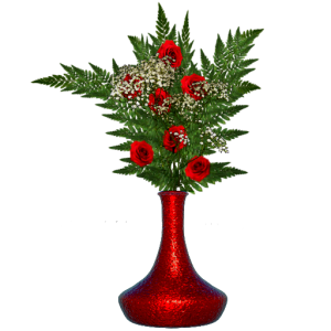 Ivmd3a.png