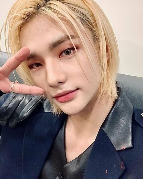 straykidshyunjins 121440194 365984241209366 409211882445067612 n