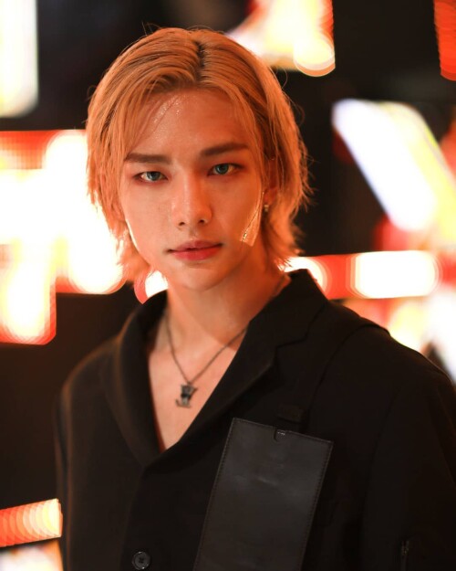 straykidshyunjins 106462842 891421091354781 9490523586472204 n