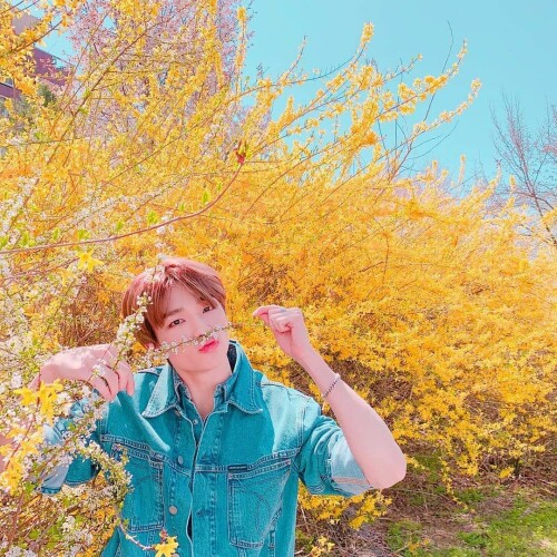 straykidshyunjins 168859452 177284497567304 6501760075473213718 n