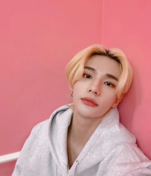 jypstraykids 272697351 300981028671552 563427684672108937 n.webp