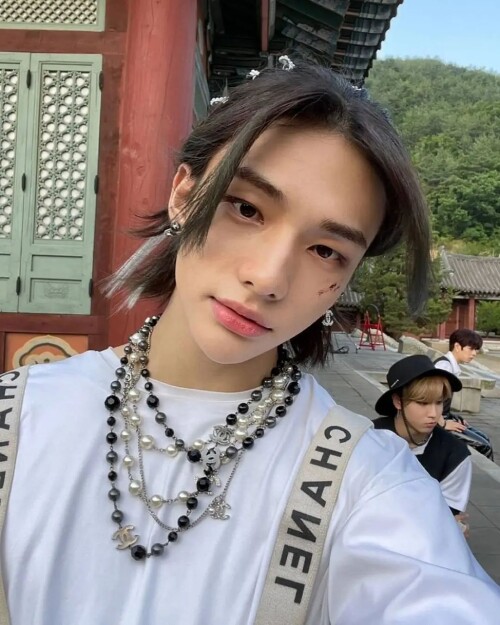 straykidshyunjins 260384369 6409775022428678 691718799020877625 n.webp