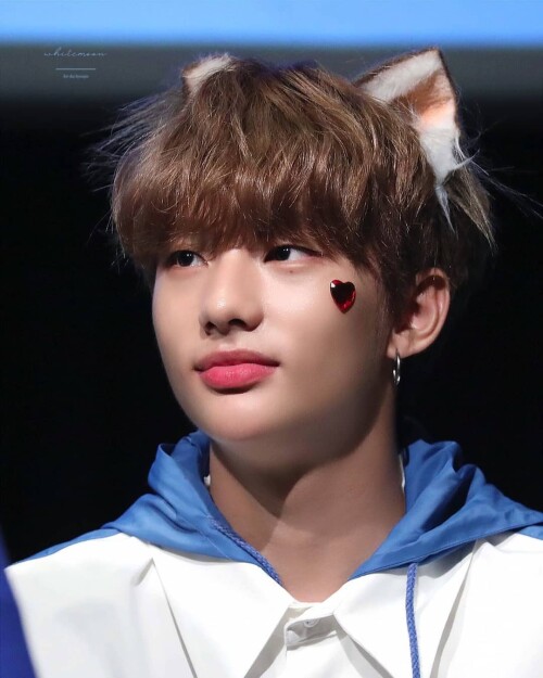 straykidshyunjins 59315576 2387400867947075 8992323217881599943 n