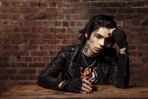 Photo 2014 Andrew Lipovsky / www.AndrewLipovsky.com -- Black Veil Brides photographed at The Paramount in Long Island, NY on February 8th, 2015