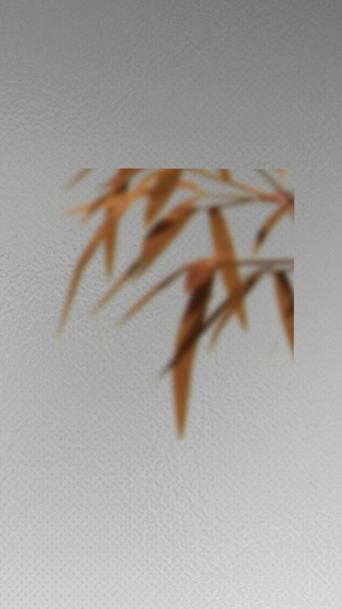 JTPwV9