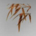 JTPwV9