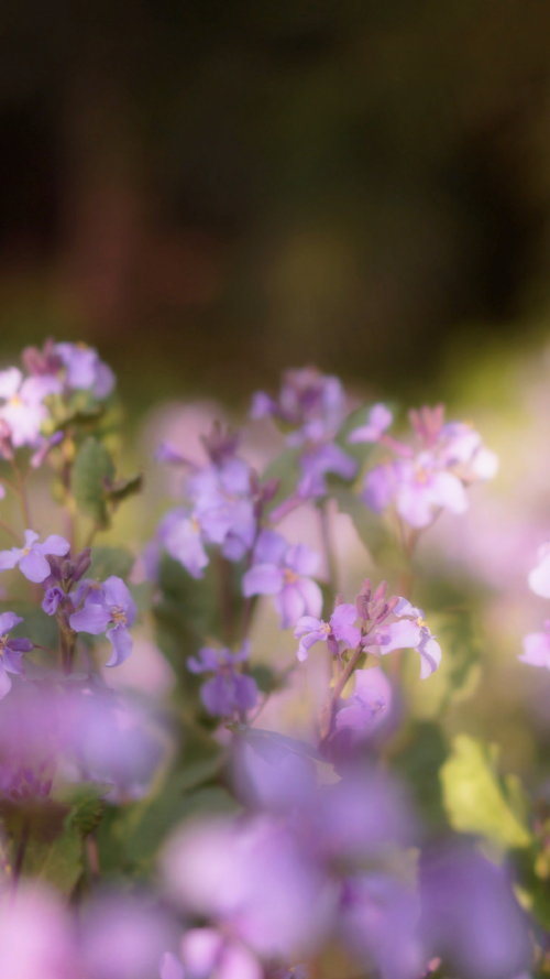 JTfudr.png