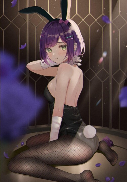 04 GpDNyWy