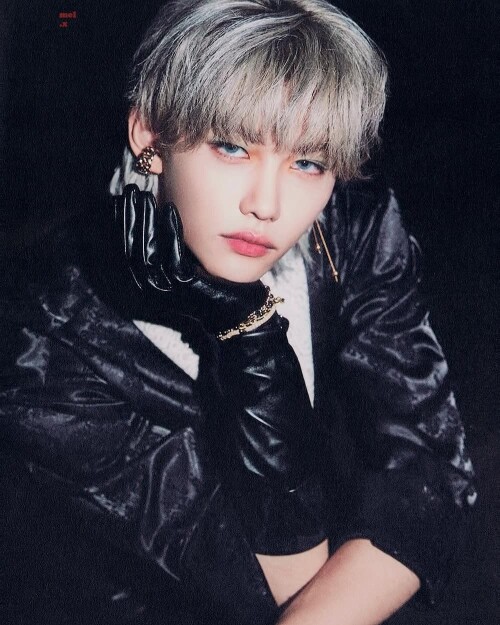 felix straykids 120196918 162335462157992 2409249256374883909 n (1)