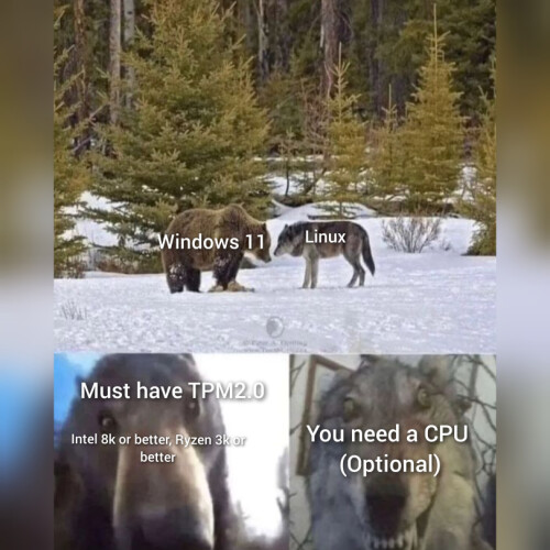 KnDFMo.jpeg