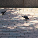 NDW3uH