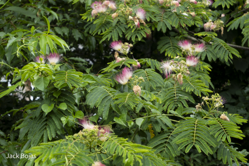 NDWCQq.png