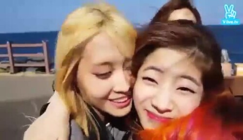 [188][twice OUR LOVELY MOMO ALMOST DID IT][3qdxqq][151027][CrazyElegantAnole]