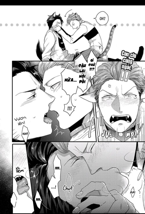 NJdOFk.jpg