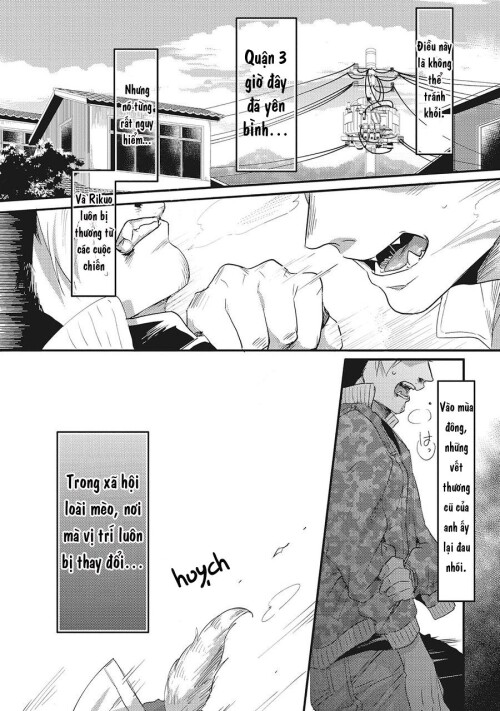 NJqW8D.jpg