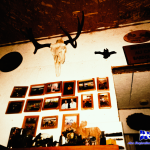 NKcibz