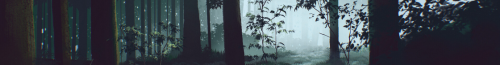 NZ358r.png