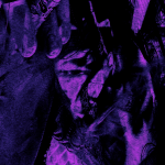 NpWrOr