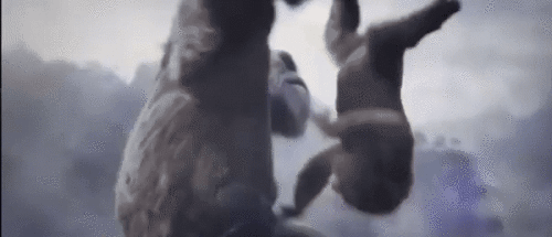 OgxUH2.gif