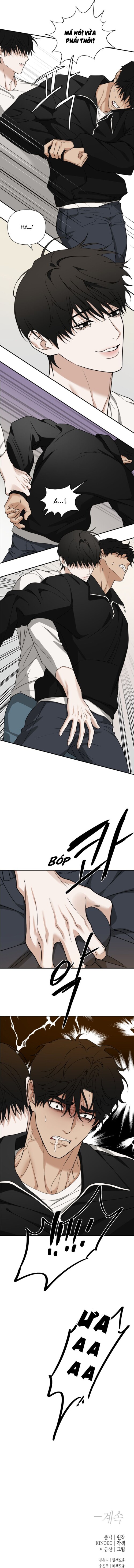 P29HA3.jpg