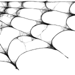 PDoB8T