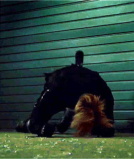 Q5LSlm.gif