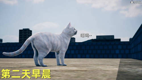 QeQypA.jpeg