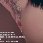 QeWxSF