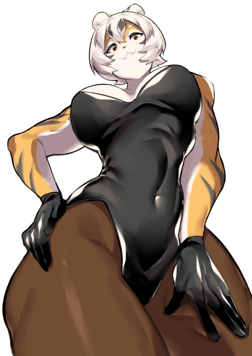 QkBtq1.jpeg