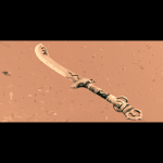 QtC3C1