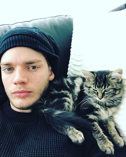 instagram domsherwood 3 650x811