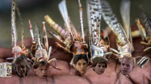 RIZOjD.jpg