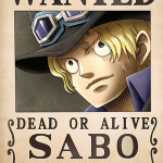 RvNLtM