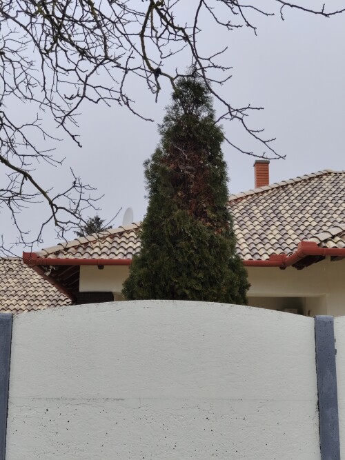 RxSyCZ.jpeg