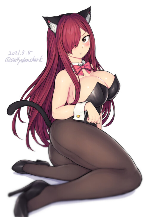 erza scarlet fairy tail drawn by saltydanshark 6c2e02a16febbfee160902019f6f0b77